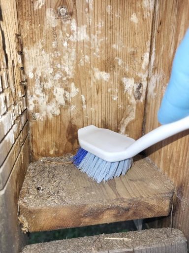 Cleaning Nesting Boxes